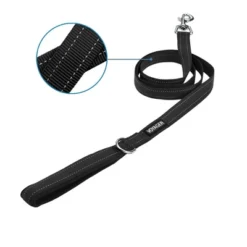 PawHut Sales Store -PawHut Sales Store GUEST 24902724 f451 445c b1f9 6340d80250af