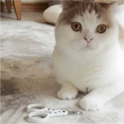 Necoichi Purrcision Feline Nail Clippers 15 Necoichi Purrcision Feline Nail Clippers -PawHut Sales Store GUEST 2522672e f500 43ad af2a 00bcba8d0090