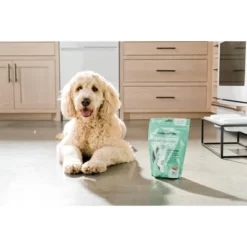 Ready Pet Go Allergy Immune Dog Chews + Digestive Support, Soothing Hot Spot & Dog Itch Relief Chew For Seasonal Dog Allergies, Cheese Flavor, 90ct -PawHut Sales Store GUEST 267a11a5 151c 4a2e b760 a86962791a89