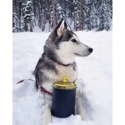 Amici Pet Woofgang Storage Canister, 70 Oz. , Black W/ Gold Lid 6 Amici Pet Woofgang Storage Canister, 70 Oz. , Black W/ Gold Lid -PawHut Sales Store GUEST 2757363e 451c 4e08 a302 8009f2dea5b3