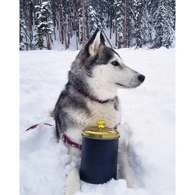 Amici Pet Woofgang Storage Canister, 70 Oz. , Black W/ Gold Lid 3 Amici Pet Woofgang Storage Canister, 70 Oz. , Black W/ Gold Lid - Image 3