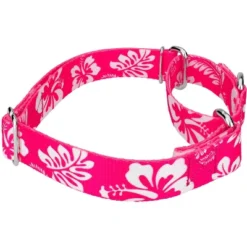 Country Brook Petz - Pink Hawaiian Martingale Dog Collar -PawHut Sales Store GUEST 2869aa5d 6d65 457d 9061 d0c1d5709eee