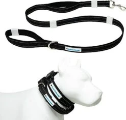 Shed Defender Mag-Snap Dog Leash - Wearable Magnetic Leash - 5 Ft. -PawHut Sales Store GUEST 286e0358 8ce0 4a5d b711 7d0d3e5ba454