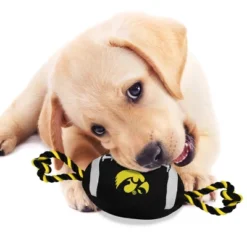 NCAA Iowa Hawkeyes Nylon Football Dog Toy 5 NCAA Iowa Hawkeyes Nylon Football Dog Toy -PawHut Sales Store GUEST 28c43239 0f7a 4c0f 97b6 a3d7b3e63bac