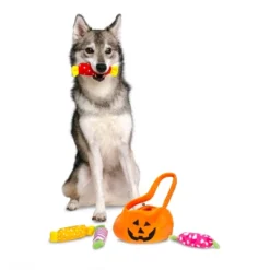 Midlee Find A Toy Halloween Pumpkin Bucket Dog Toy 7 Midlee Find A Toy Halloween Pumpkin Bucket Dog Toy -PawHut Sales Store GUEST 294dabd8 dc03 4e3f a2fc 9fb60678e774