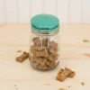 Amici Pet 7CN528R Briard Glass Pet Treats Jar With Hermetic Sealing Ceramic Lid, BPA Free, 34 Oz, Clear Green
