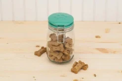 Amici Pet 7CN528R Briard Glass Pet Treats Jar With Hermetic Sealing Ceramic Lid, BPA Free, 34 Oz, Clear Green