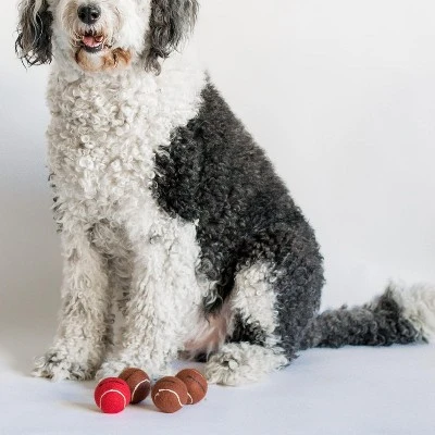 Midlee Red Nose Christmas Dog Tennis Balls (Standard) 2 Midlee Red Nose Christmas Dog Tennis Balls (Standard) - Image 2