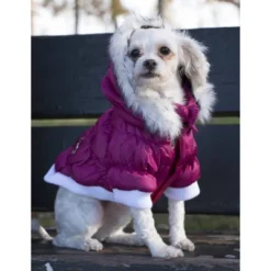 Pet Life Metallic Fashion Dog And Cat Parka Coat -PawHut Sales Store GUEST 2c837687 f831 42fb b1ce 4c8e5672b964