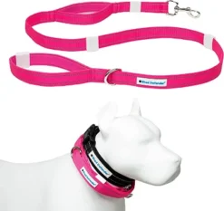 Shed Defender Mag-Snap Dog Leash - Wearable Magnetic Leash - 5 Ft. -PawHut Sales Store GUEST 2e763551 7022 462e 80c3 e8c495126cb4