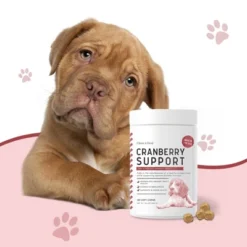 Chew + Heal UTI Treatment Cranberry Treats, Dog Supplement, Boosts Urinary Tract & Bladder Health - 120 Delicious Chews 9 Chew + Heal UTI Treatment Cranberry Treats, Dog Supplement, Boosts Urinary Tract & Bladder Health - 120 Delicious Chews -PawHut Sales Store GUEST 2ea73e1f 0194 4cbc 91bc 091de966fc77