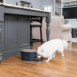 PetSafe Six Meal Pet Feeder - 7.5lbs 9 PetSafe Six Meal Pet Feeder - 7.5lbs -PawHut Sales Store GUEST 2f2f93a3 f3e2 49ac a05c 55a8a5426a62