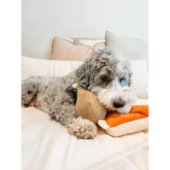 Midlee Thanksgiving Meal Dog Toy Set - Pumpkin Pie & Turkey Leg -PawHut Sales Store GUEST 306ca1e4 837f 44cb aeea 1d887485de59