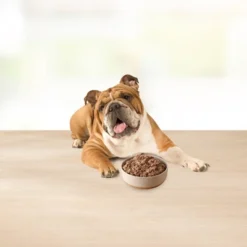 Blue Buffalo Basics Basics Skin & Stomach Care Grain Free Natural Wet Dog Food Lamb & Potato Recipe Adult - 12.5oz/12ct Pack -PawHut Sales Store GUEST 32cfe275 2b4d 4a84 bdcb 3fafc0e5e97b