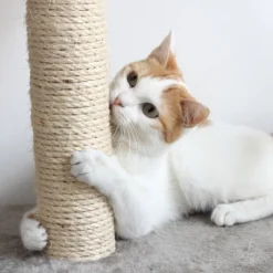 Pet Adobe Multilevel Cat Tree House Tower And Scratching Posts - Beige -PawHut Sales Store GUEST 336cdfd8 059d 42c2 acb8 6f8a7d8e0346