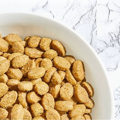 Nutro Wholesome Essentials Salmon & Brown Rice Recipe Adult Premium Dry Cat Food - 5lbs 3 Nutro Wholesome Essentials Salmon & Brown Rice Recipe Adult Premium Dry Cat Food - 5lbs - Image 3