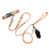 The Worthy Dog Tutti Frutti Pet Leash