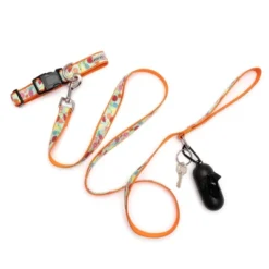 The Worthy Dog Tutti Frutti Pet Leash