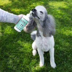 Natural Dog Company Calming Oil - Bacon & Peanut Butter - 16oz -PawHut Sales Store GUEST 34b35d37 ce59 494f acd3 f9529d7dc790