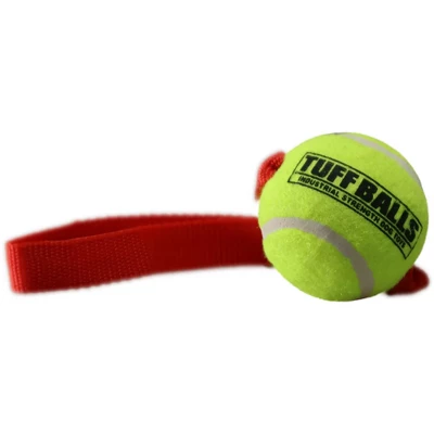 Petsport Fetch Me Fido Tuff Balls Dog Toy 1 Petsport Fetch Me Fido Tuff Balls Dog Toy
