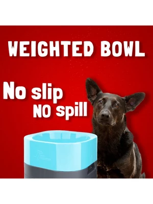 Pet Weighter Elevated Raised Weighted No-Spill Non-Slip Fillable Easy-Clean Water And Food Bowl For Dogs And Cats 2 Pet Weighter Elevated Raised Weighted No-Spill Non-Slip Fillable Easy-Clean Water And Food Bowl For Dogs And Cats - Image 2