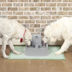 PetSafe Drinkwell Pet Fountain - Gray -PawHut Sales Store GUEST 381e3863 71b6 466e bf6b 3329847561ab