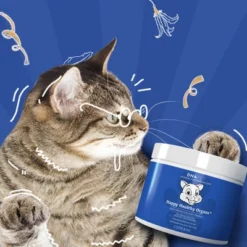 Codeage DNA PET Happy Healthy Organs & Glands Supplement For Cats -1.48oz 7 Codeage DNA PET Happy Healthy Organs & Glands Supplement For Cats -1.48oz -PawHut Sales Store GUEST 386b384f 79a4 407d a4ba e8d7f79b0ac3