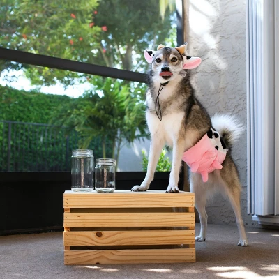 Midlee Cow Headband & Udder Dog Costume 2 Midlee Cow Headband & Udder Dog Costume - Image 2