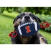 NCAA Illinois Fighting Illini Nylon Football Dog Toy