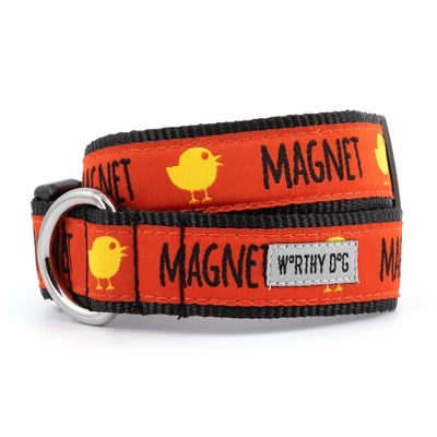 The Worthy Dog Chick Magnet Dog Collar 1 The Worthy Dog Chick Magnet Dog Collar