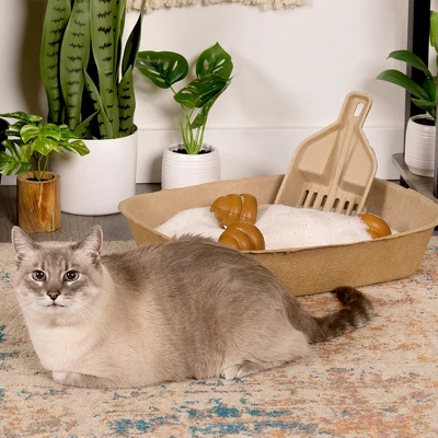 Kitty Sift Eco-Friendly Disposable Litter Scoop (Pack Of 5) 5 Kitty Sift Eco-Friendly Disposable Litter Scoop (Pack Of 5) - Image 5