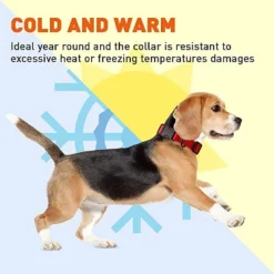 Dogline Biothane Waterproof Collar With QR Buckle Red -PawHut Sales Store GUEST 41498bff a5fd 4c88 b6e9 ddb90f6ff3a2