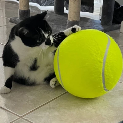 Link Tail Lights Pet Tennis Ball - 9.5" - Exercise Training Dog Toy Durable Rubber And Felt Material - Outdoor/Indoor 5 Link Tail Lights Pet Tennis Ball - 9.5" - Exercise Training Dog Toy Durable Rubber And Felt Material - Outdoor/Indoor - Image 5