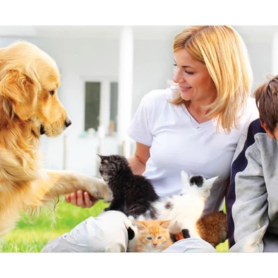 Nok-Out Premium Grade Pet Shampoo For Dogs And Cats, Veterinary Strength And Odor Eliminator Formula, 20 Ounces 2 Nok-Out Premium Grade Pet Shampoo For Dogs And Cats, Veterinary Strength And Odor Eliminator Formula, 20 Ounces - Image 2