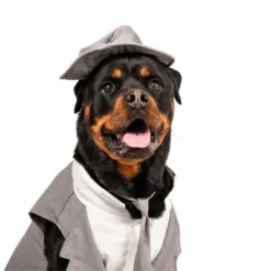 Midlee Dog Tuxedo Wedding Suit- Gray Top Hat & Leash -PawHut Sales Store GUEST 42b16443 0f65 4832 984a 6c4ee08aabb0