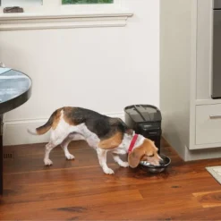 PetSafe Healthy Automated Pet Feeder For Cats And Dogs - Black 13 PetSafe Healthy Automated Pet Feeder For Cats And Dogs - Black -PawHut Sales Store GUEST 43493d7f b524 4ec1 8c36 4379e4f78b5c