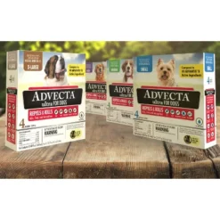 Advecta Pet Insect Flea Drops Treatment For Dogs - 4ct 13 Advecta Pet Insect Flea Drops Treatment For Dogs - 4ct -PawHut Sales Store GUEST 447dcd0d eff7 4561 97b6 a17f93bf7160