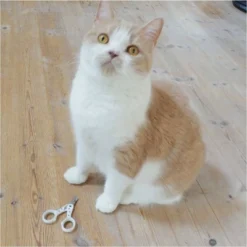 Necoichi Purrcision Feline Nail Clippers 14 Necoichi Purrcision Feline Nail Clippers -PawHut Sales Store GUEST 44da3970 45a1 4307 bccc 92bd9f619304