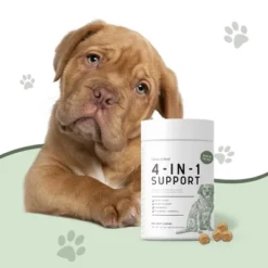 Chew + Heal 4-in-1 Support Multivitamin, Dog Vitamin, Contains Probiotics & Numerous Vitamins - 120 Delicious Chews 7 Chew + Heal 4-in-1 Support Multivitamin, Dog Vitamin, Contains Probiotics & Numerous Vitamins - 120 Delicious Chews -PawHut Sales Store GUEST 45a13644 b74e 4931 b8dd fddc9ec0c58e