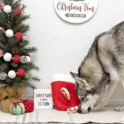 Find A Toy Christmas Stocking Dog Toy 9 Find A Toy Christmas Stocking Dog Toy -PawHut Sales Store GUEST 45d9d27e a79a 42c9 bb04 6df0729a1ab6