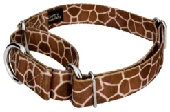Country Brook Petz Giraffe Martingale Dog Collar 15 Country Brook Petz Giraffe Martingale Dog Collar -PawHut Sales Store GUEST 49ac07c6 ccd9 4527 8e74 fdaf6f7e5946