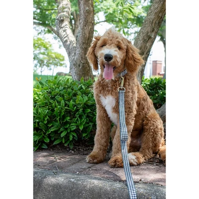 Country Brook Petz Houndstooth Martingale Dog Collar 1 Country Brook Petz Houndstooth Martingale Dog Collar