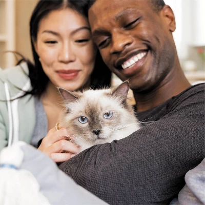 IAMS Proactive Health Hairball Care With Chicken & Salmon Adult Premium Dry Cat Food 4 IAMS Proactive Health Hairball Care With Chicken & Salmon Adult Premium Dry Cat Food - Image 4