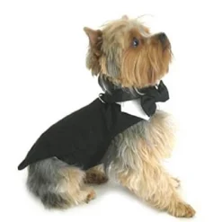 DOGGIE DESIGN Dog Tuxedo W/Formal Tails - Black, XXXL (Chest 31-36")