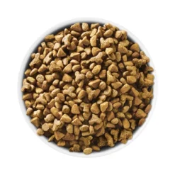 Purina ONE Indoor Advantage Adult Premium Turkey Flavor Dry Cat Food