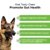 Pet Honesty Probiotic Digestive Support Soft Chews For Dogs, 90 Ct