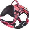 Dog Helios Dog Chest Compression Pet Harness And Leash Combo