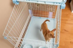 IRIS USA Small Wire Animal House With Food And Water Dishes, Blue -PawHut Sales Store GUEST 4e88c42e 902d 4133 baf5 9f25f007845c