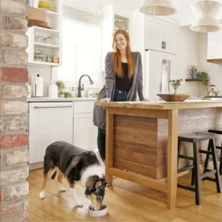 IAMS Healthy Aging Adult Large Breed For Mature And Senior Dogs With Real Chicken Dry Dog Food -PawHut Sales Store GUEST 4f2ca32f a478 48d6 aec0 15ee5dd4b3c5