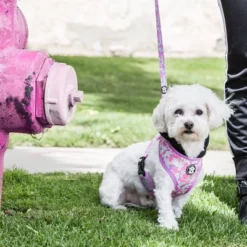 Fresh Pawz Pastel Camo Mesh Dog Harness -PawHut Sales Store GUEST 4fd9e092 7d2a 446d b461 4f26ae44dc8a